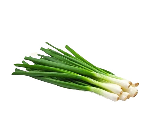 green onions spring